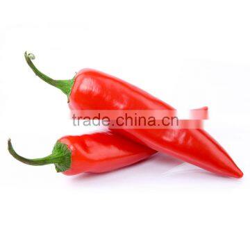 2016 South Korea imported mating ripe strong disease resistance red pepper seeds