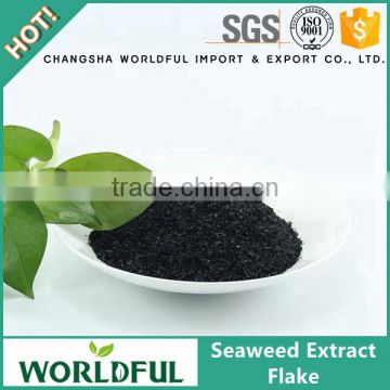 High Quality Factory Supply Seaweed Extract Flake Seaweed Extract