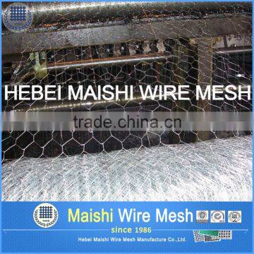 Bird Netting Galvanzied/PVC Coated Wire Netting photo-6