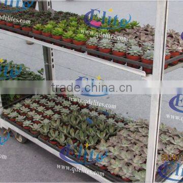 254 Seedling Pot Plant Trolley photo-6