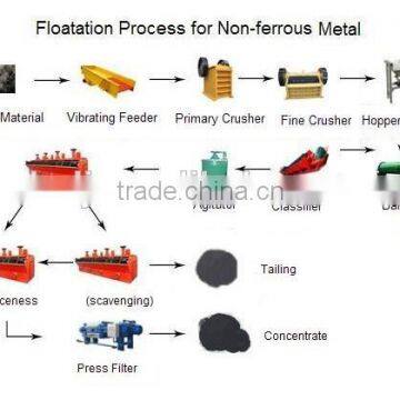 Gold Ore Flotation Washing Plant photo-2