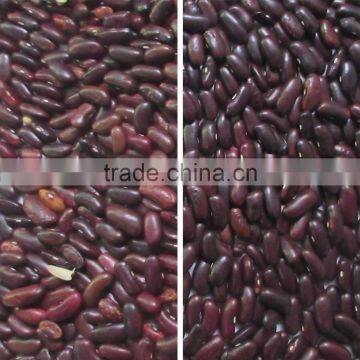 Ccd Camera Bean Color Sorter Price in China photo-5