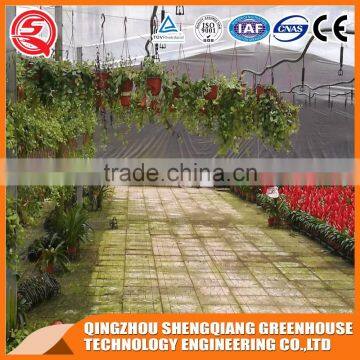 Agriculture Equipment Glass Greenhouse and Greenhouse Steel Frame photo-5