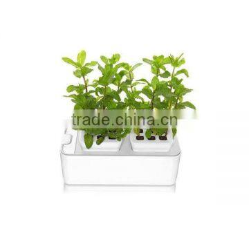 2014 Newest Office Decoration Mini Smart Garden photo-4