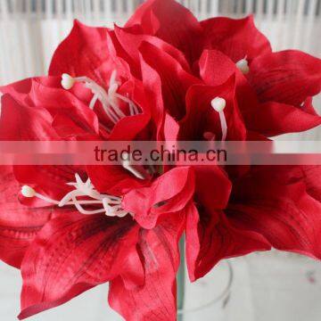 SJ13001116 Artificial Clivia Flower/silk Kaffir Lily Flores photo-5