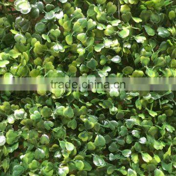 Artificial Boxwood Grass Mat photo-3