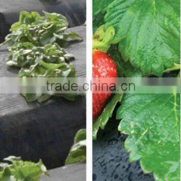 pp Woven Weed Control Black Plastic Mulch Ground Cover photo-3