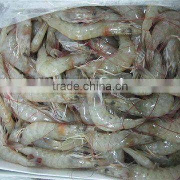 Vannamei Shrimps photo-3