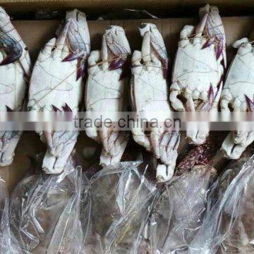 Frozen Blue Swimming Crab China Suppliers photo-2