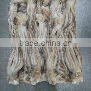 Frozen Tweed Bait Squid Heads photo-2