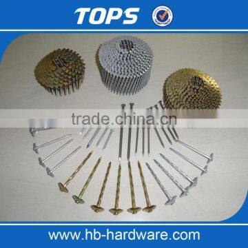 Galvanized Twisted/Ring Shank Coil Nails photo-5