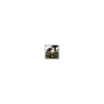 2016 Artificial Date Palm Tree For Swimming Pool Decoration photo-3