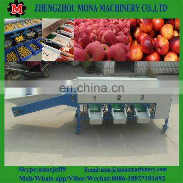 Sweet Potato Grading Machine/ Pear Fruit Washing Drying Waxing Grading Machine photo-5
