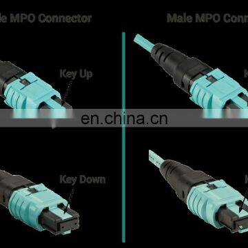 12 24 72 Core Fibers Patch Cord MPO/MTP Female to Female photo-5