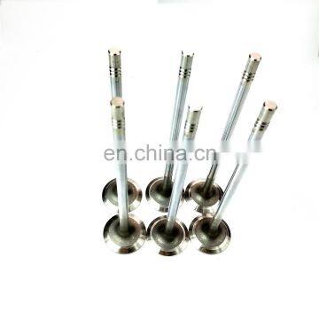 Engine Parts DCI11 Intake Valve D5010339502 for Diesel Engine photo-3