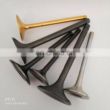 Sport 4-stroke Super Pocket Bike Accessary Engine Valve for Tekken 250 cc Eec for Bolivia Market photo-5