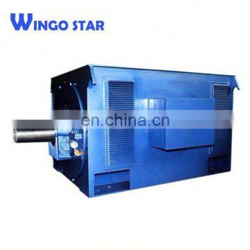 Wingo Star High Voltage y Series Three Phase Powerful Electric Motor 6kv