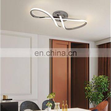 2021 Best Selling Modern Style Home Decor Acrylic Guangdong Modern Ceiling Lamp