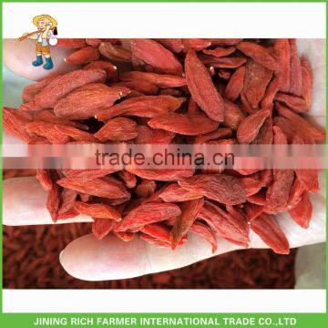 Hot sale goji berry of 180 grains per 50 gram