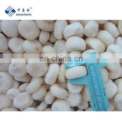 Sinocharm BRC A Approved Peeled Whole IQF Frozen Water Chestnut