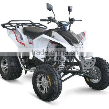 300cc Racing ATV Beach Buggy photo-2