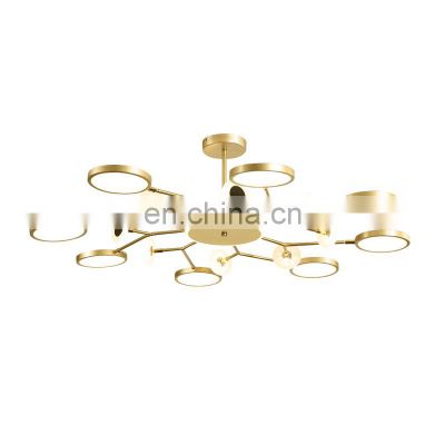 Simple Design Iron Round Ring Ceiling Light Black LED Ceiling Light for Study Dining Living Room