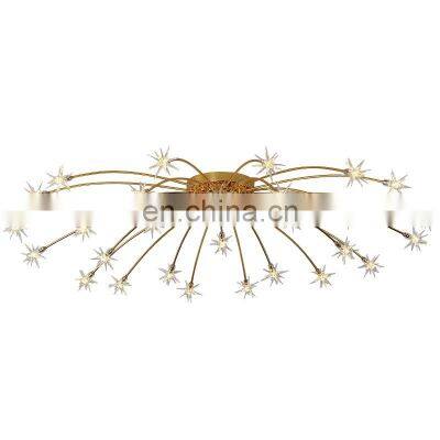 LED Ceiling Lights LED Chandelier for Indoor Bedroom and Living Room Ceiling Lamps Firework Shape Chandelier