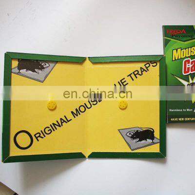 Non Poisonous Mouse & Rat Glue Snare Green Board Glue Trap for Rats