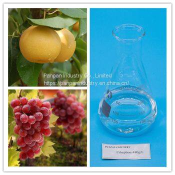 Factory Supply Pant Growth Regulator Ethephon 480g/l Ripening for Fruits and Vegetables photo-2