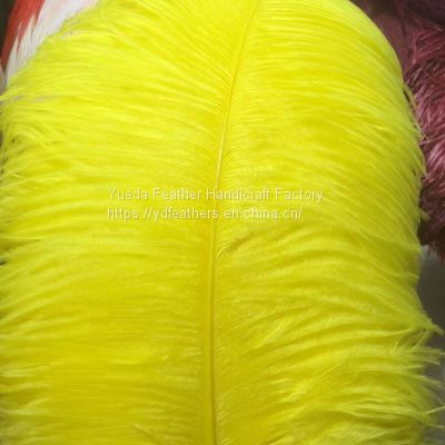 Ostrich Feather/Plume For Wholesale From China