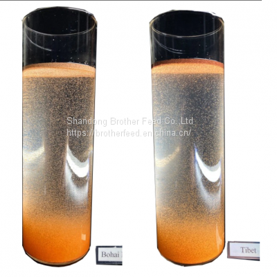 Good Quality High Hatch Rate Premium Bohai BBS Artemia Cysts Brine Shrimp Eggs photo-3
