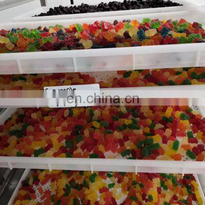 starch Mogul  line for gummy candy and jelly candy