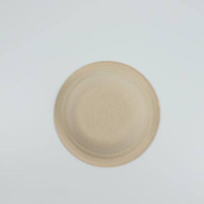 Disposable Biodegradable Bowl photo-2