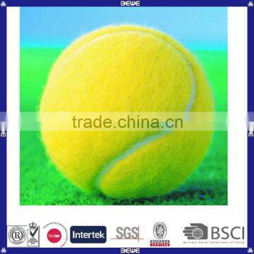 2014 new product promotional tennis