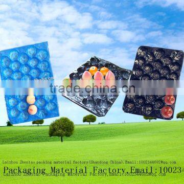 Free Samples Fruit and Vegetable Plastic Packaging Inner Tray With Factory Price