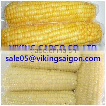 HOT SELLER_FROZEN CORN_FROM VIETNAM !