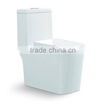 Modern Design Ceramic Siphonice Water Closet/one Piece Toilet F1031