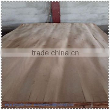 A grade eucalyptus veneer