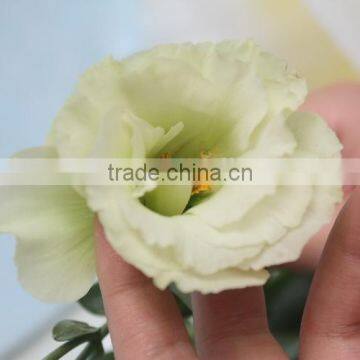China Factory Direct Lisianthus Flower photo-4