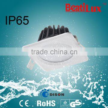 9w/15w Stainless Ip65 Beach Downlight