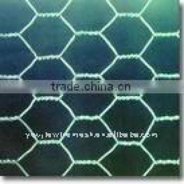 galvanized hexagonal wire mesh (Youjie)