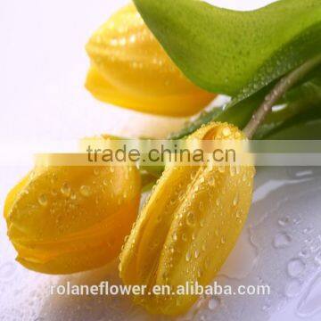 top Hot Sale natural cut flowers yellow mini tulip in holland From yunnan supplier