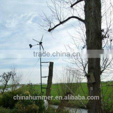 2013 new Hot Sale Small Wind Tubine for home 500W