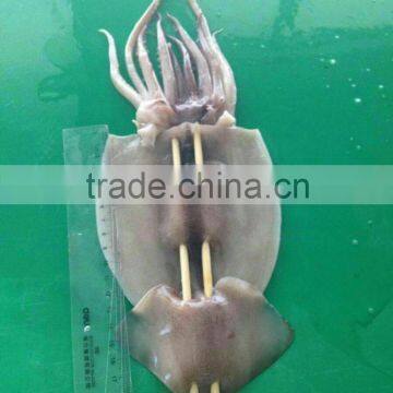 SQUID BBQ