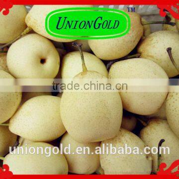 light yellow Fresh ya pear bulk purchase