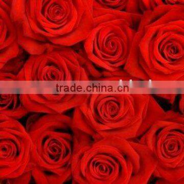 Home decoration rose fabric printing