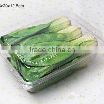 2.5kg Capacity Disposable Clear Plastic Punnet for Vegetable