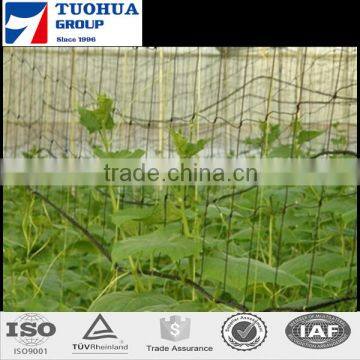 Virgin HDPE Plant Climbing Net Used in Agriculture