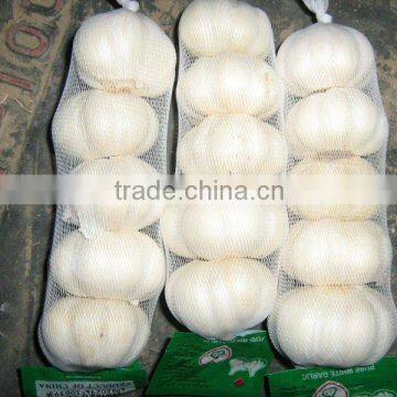 white garlic in mesh bag