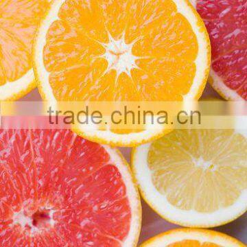 Summer Navel Orange For Germany/UK Market